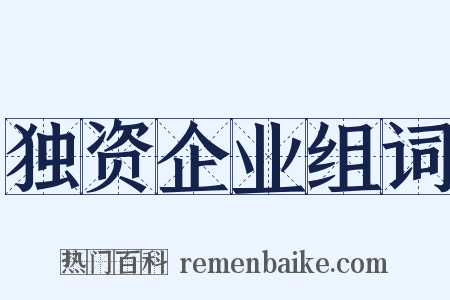 独资企业组词是什么意思的图片